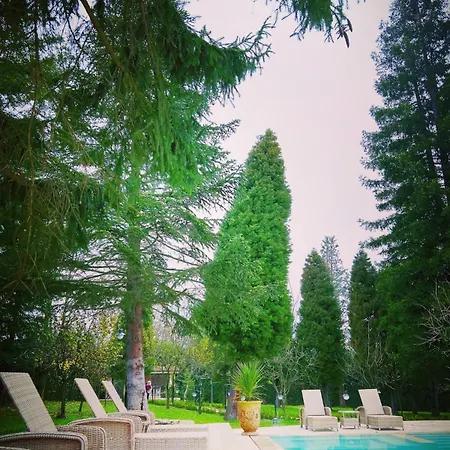 Deer Mansion Mountain Kartepe