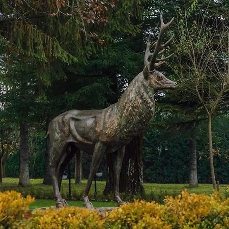 Deer Mansion Mountain *