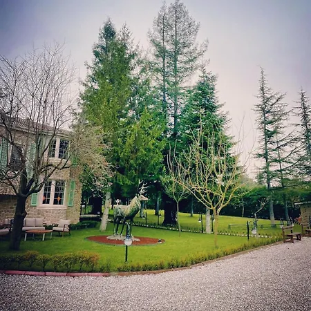 Deer Mansion Mountain Kartepe