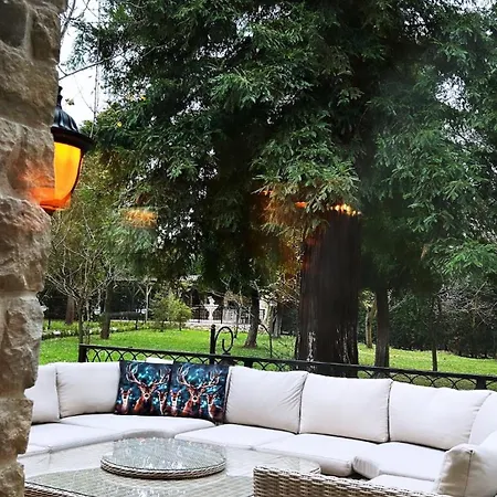 Deer Mansion Mountain Kartepe